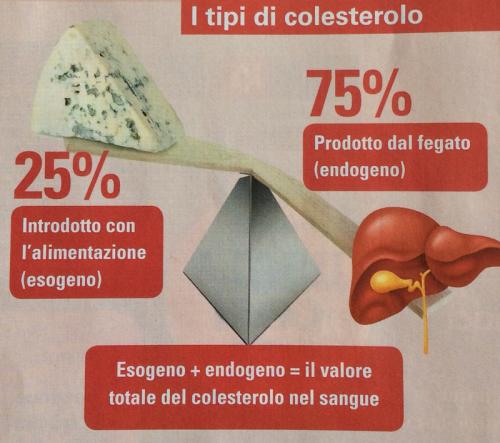 201701_cholesterol_type.jpg